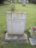 image of grave number 198001